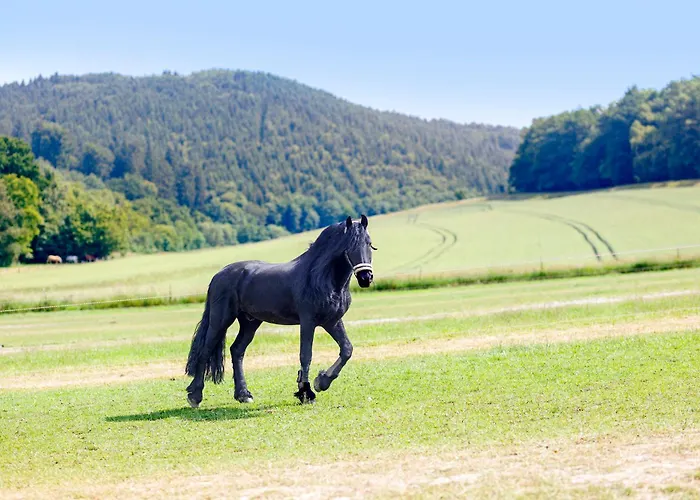 Feriehus Torhaus Schloss Wocklum Balve